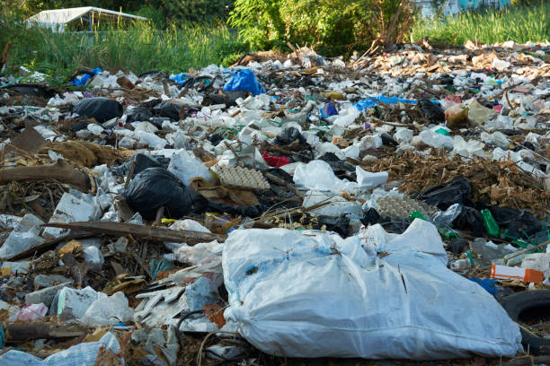 istock A lot of dirty garbages in open space 1197576388