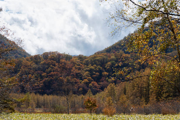 istock Landscape of fall colors Nikko Japan 1197580834