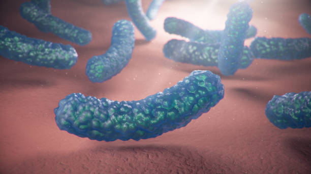 istock 3d illustration viruses causing infectious diseases, decreased immunity. Concept of viral disease. Virus abstract background. Cell infect organism. Abstract pathogenic bacteria. Rabies virus 1197582716
