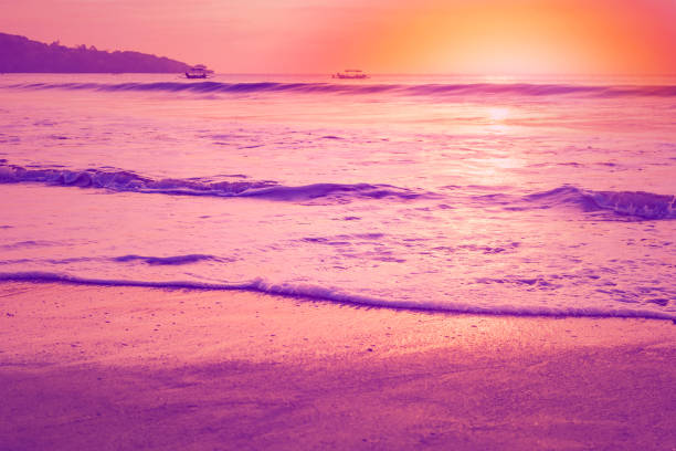 Soft sea waves wash the sandy beach during lilac sunset