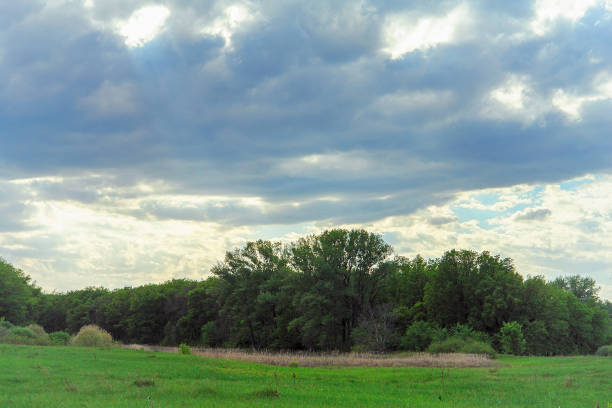 istock Sky with rain clouds over green meadow and forest 1197586548