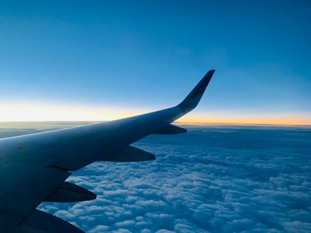 istock Blue flying morning beauty 1197587391