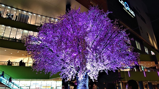 Japan, Tokyo, La Qua relaxation area near Tokyo Dome-January 04 2020: a lot of people visit this nice relaxation area with many shops and restaurants. A lot of smal ponds , basseins, water flows here. And this purple tree at the center looks very futuristic.