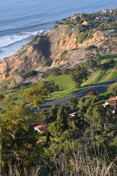 istock Looking Down a Hillside Vista to the Ocean Below 1197594973