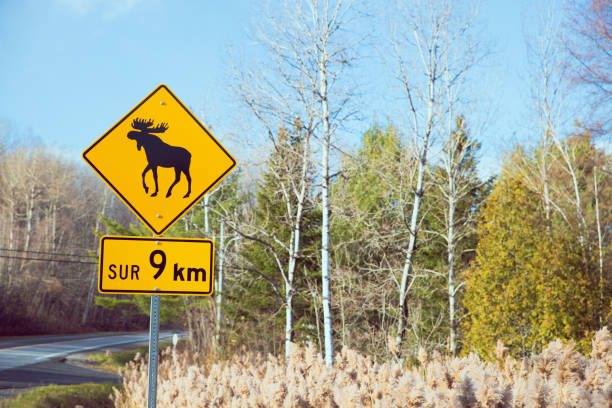 高速道路上のムース警告看板 - moose crossing sign ストックフォトと画像