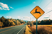 Deers warning signage on the highway