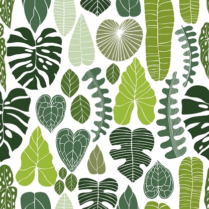 Hand drawn green tropical plants.Vector seamless pattern