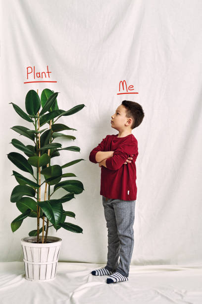 istock Cute child measuring his height. Growth and competititon concept. 1197613522