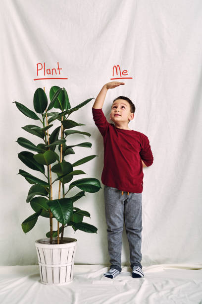 istock Cute child measuring his height. Growth and competititon concept. 1197613524