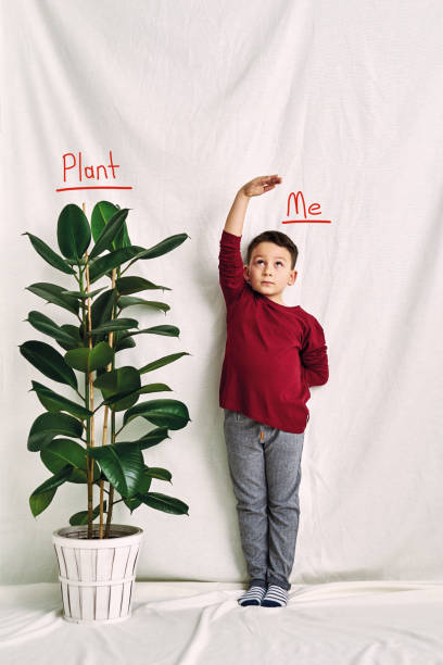 istock Cute child measuring his height. Growth and competititon concept. 1197613631