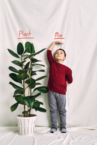 istock Cute child measuring his height. Growth and competititon concept. 1197613713