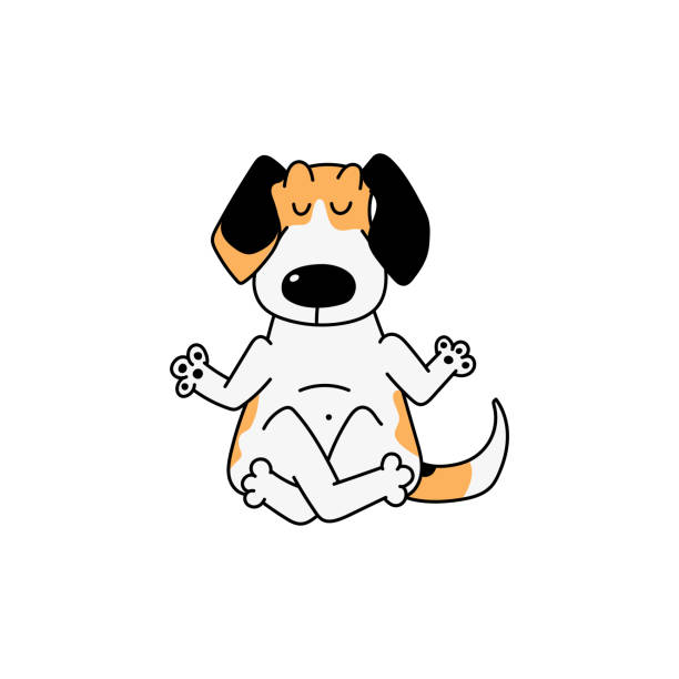 cartoon beagle hund sitzt in lotus yoga pose - süße haustier medierung - animal sitting brown dog stock-grafiken, -clipart, -cartoons und -symbole