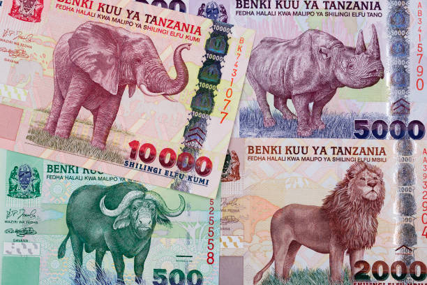 istock Tanzanian shilling a business background 1197615611