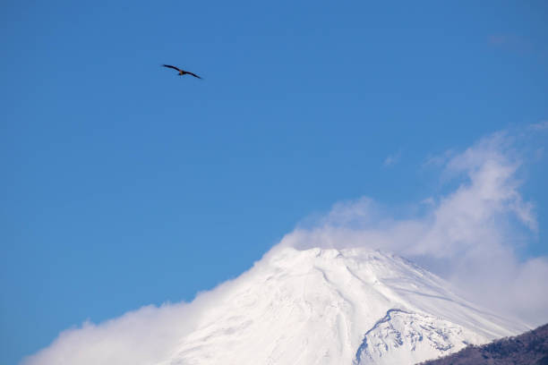 istock Mount Fuji in Japan 1197619738