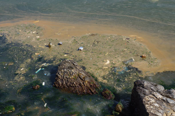 istock sea waves surf garbage to rocky coastline polluting beach 1197622221