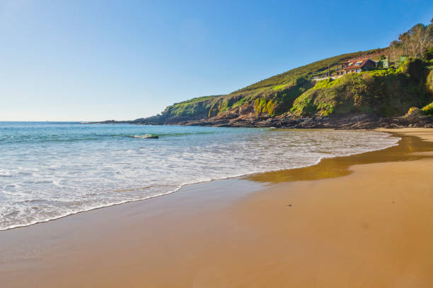 istock Cape and shore of  the beach 1197622254