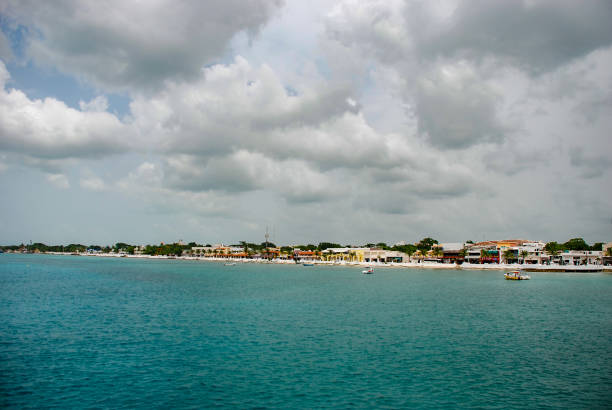 istock The waterfront at San Miguel on Cozumel, Mexico 1197626588