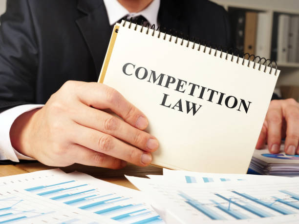 istock Lawyer is holding competition law book. 1197632222