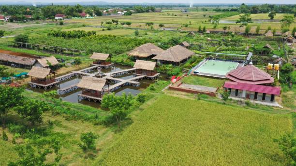 istock Park and Rice Field Indonesia 1197637645
