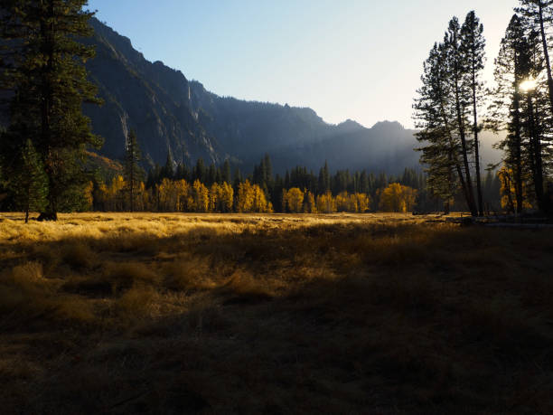 This picture represents a field in Yosemite National Park in the fall season.
