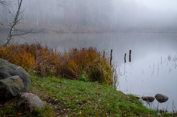 istock Atmospheric misty autumn landscape 1197643857
