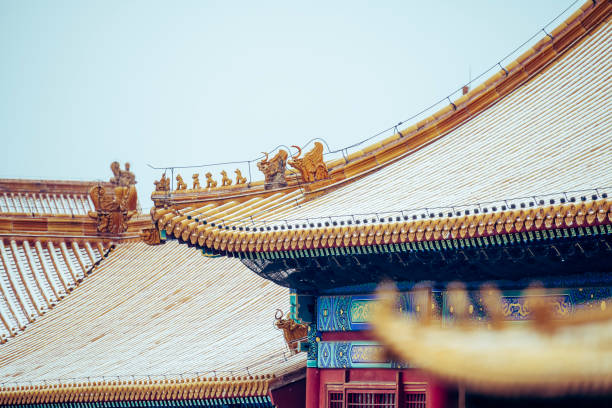 istock The Forbidden City in Beijing, China 1197644716