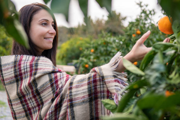 istock woman picking mandarin 1197644788