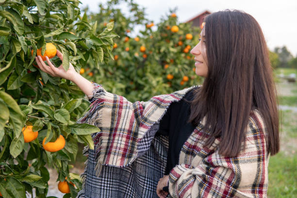 istock woman picking mandarin 1197644857