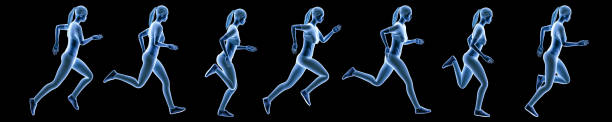 黒い背景に隔離されたシーケンスの動きを実行しているスポーツウーマン。ホログラム 3d レンダー バナーの図。スポーツ、フィットネス、健康、人間のバイオメカニクスの概念。 - バイオメカニクス ストックフォトと画像