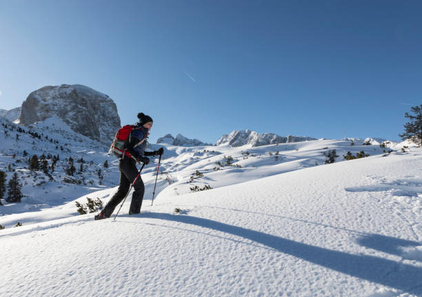 istock Snowshoeing uphill at Dachstein Mountains, Austria. 1197645792