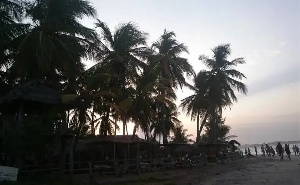 Photo of Tropical palm trees, some huts on the beach of Arugam Bay