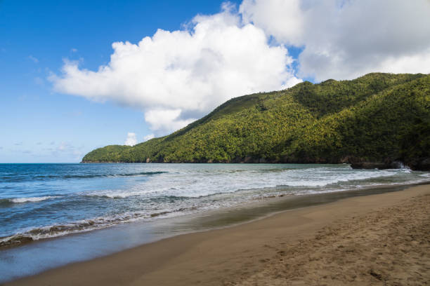 istock Wild, deserted beach in tropical island 1197647620