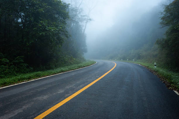 camino con bosque natural y carretera de niebla de la selva tropical. - country road lane road dirt road fotografías e imágenes de stock