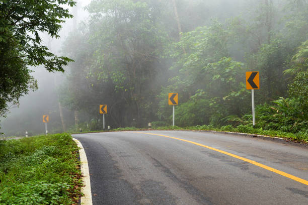 camino con bosque natural y carretera de niebla de la selva tropical. - country road lane road dirt road fotografías e imágenes de stock