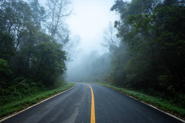 camino con bosque natural y carretera de niebla de la selva tropical. - country road fotos fotografías e imágenes de stock