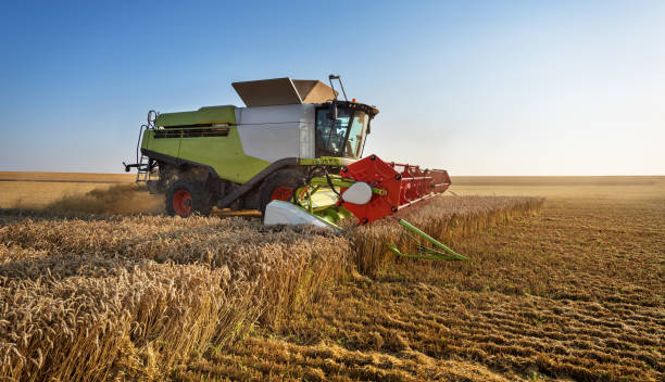 istock Combine harvester in action on wheat field. 1197651303
