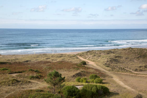 istock Path at Dunes in Xago Beach; Asturias 1197656696