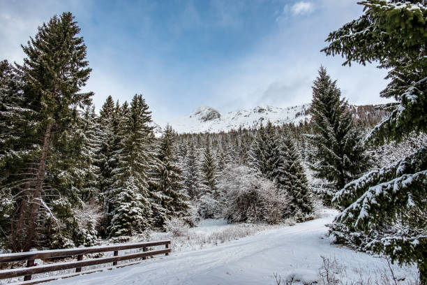 istock Early winter day at Sella Nevea 1197657947