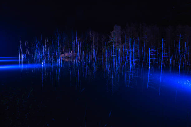 istock Illuminated night lake in Biei 1197658434