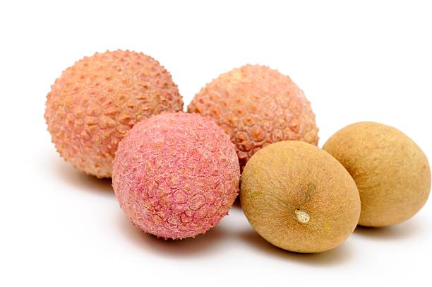 Five lychee fruits on white stock photo