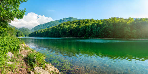 istock National park Biogradska Gora 1197659280