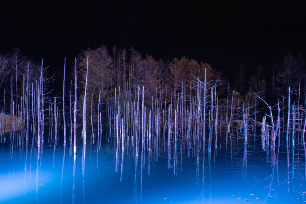 istock Illuminated night lake in Biei 1197659303