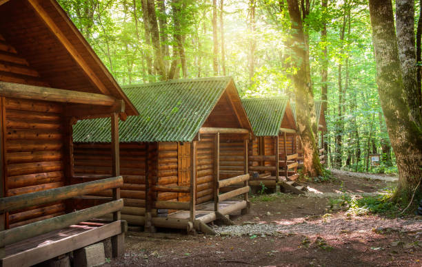 istock Holiday village in Park 1197659918