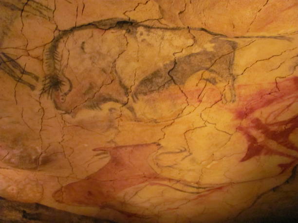 pinturas rupestres prehistóricas en el norte de españa - cueva de altamira fotografías e imágenes de stock