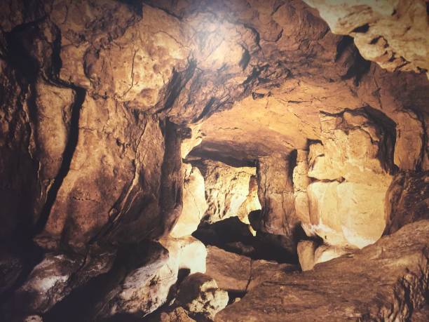 pinturas rupestres prehistóricas en el norte de españa - cueva de altamira fotografías e imágenes de stock