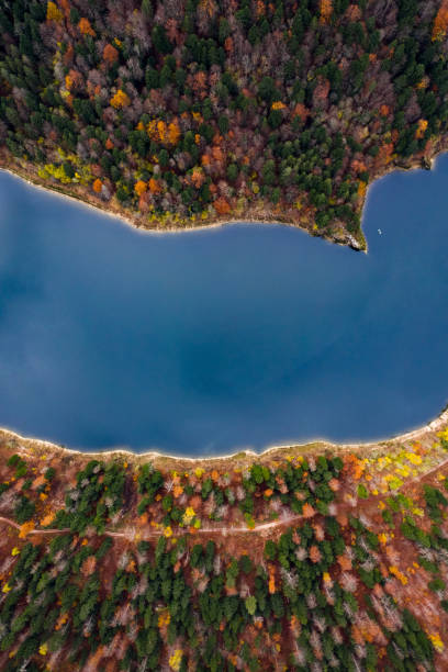 istock Nature's paint job 1197661916