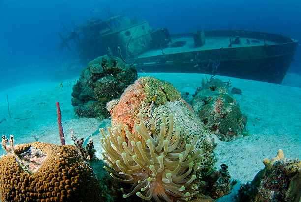 istock sunken ship wreck and coral 119766437