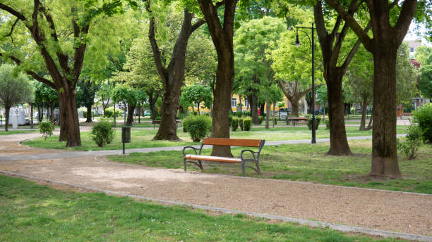 istock batthany square in gyor, hungary 1197668042
