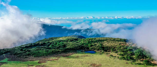 istock View in the jungle of Madeira 1197669302