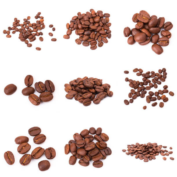 istock set of roasted coffee beans. Isolated on a white background. 1197669437